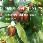 다정한농장