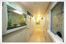 싱글하우스고시텔 화곡점