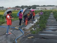 이미영 베리농원