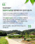 달콤포도농장