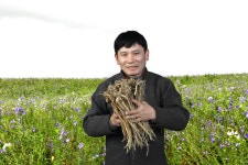 창수네장생홍도라지