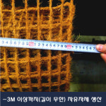 코아네트코리아