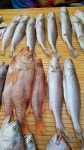 사문상회