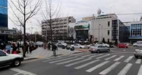 애플공인중개사사무소