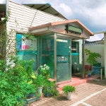 회나무흑염소식당