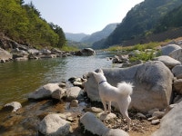 곰하우스