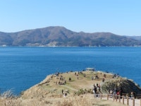 거제도소나무향기낚시펜션