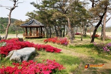 회룡포녹색농촌체험마을