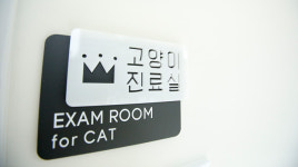 일산클래식동물병원