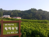 원학농장