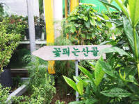 꽃피는산골