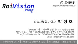 로이비전