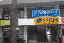 노아인력