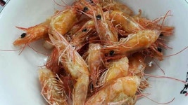 파주 왕새우직판장(서윤수산)