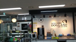 뉴욕도그랜드