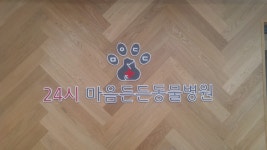 24시 마음든든동물병원
