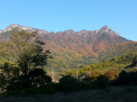 문경주흘산농원
