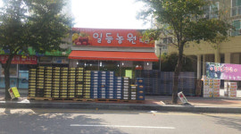 일등농원직판