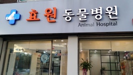 효원동물병원