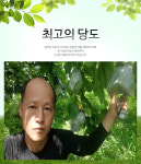 호준이장터농장