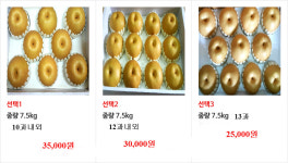 호준이장터농장