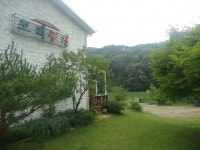 초리풍경
