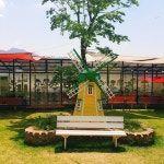 컨츄리독힐링파크