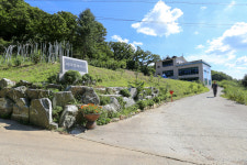 라파엘힐링센터