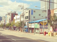진 해동검도명륜