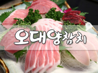 오대양참치