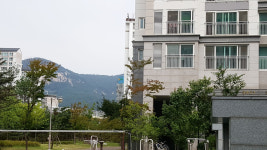 신일단지내코코공인중개사사무소