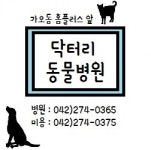 닥터리동물병원