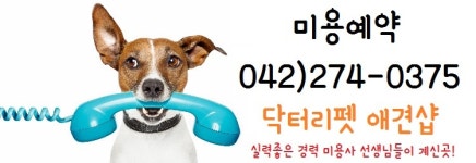 닥터리동물병원