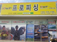 프로피싱