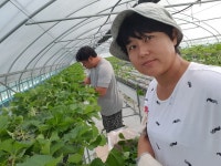 목이네달코미딸기농장