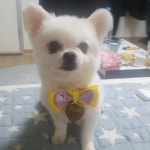 숯총각꼼장어닭발 신림점