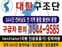 대한 구조단