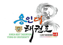 용인대금메달태권도