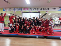 용인대백호태권도