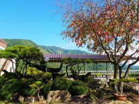 두메산골식당