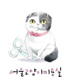 서울고양이미용실