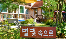 별빛속으로