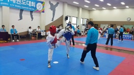경희대석사최강 하늘태권도