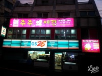 주주애견