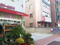 울산광역꽃도매