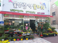 울산광역꽃도매