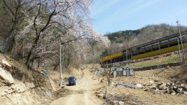 임실해보라농장