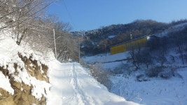 임실해보라농장