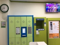 크린토피아 코인워시 송탄터미널점