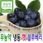 지리산오색농장